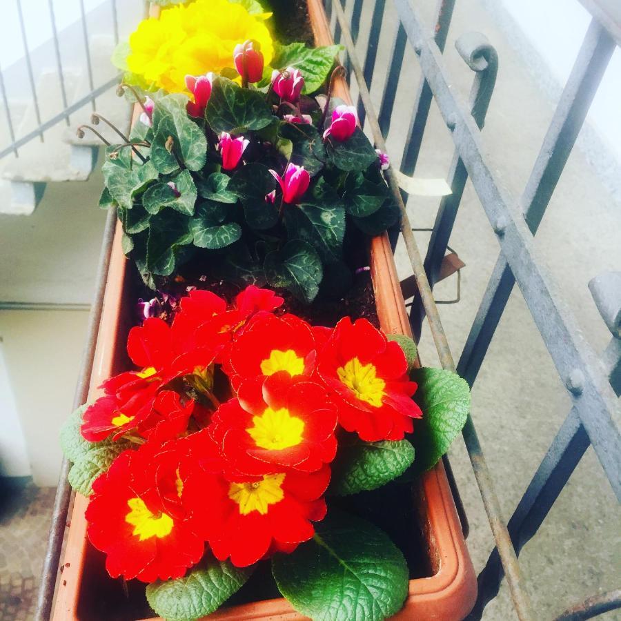 Delizioso Appartamento In Corte Vittuone Buitenkant foto