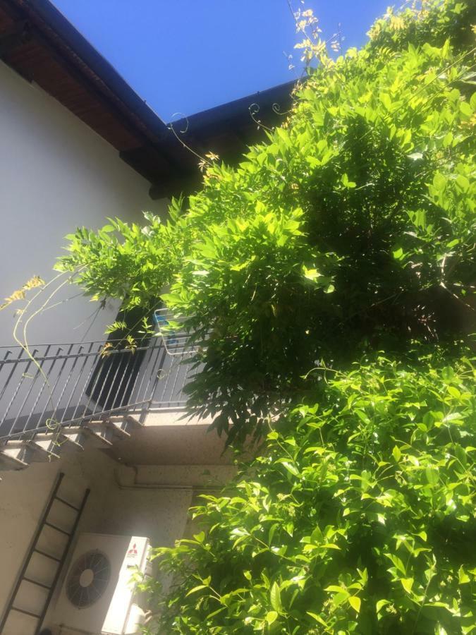 Delizioso Appartamento In Corte Vittuone Buitenkant foto